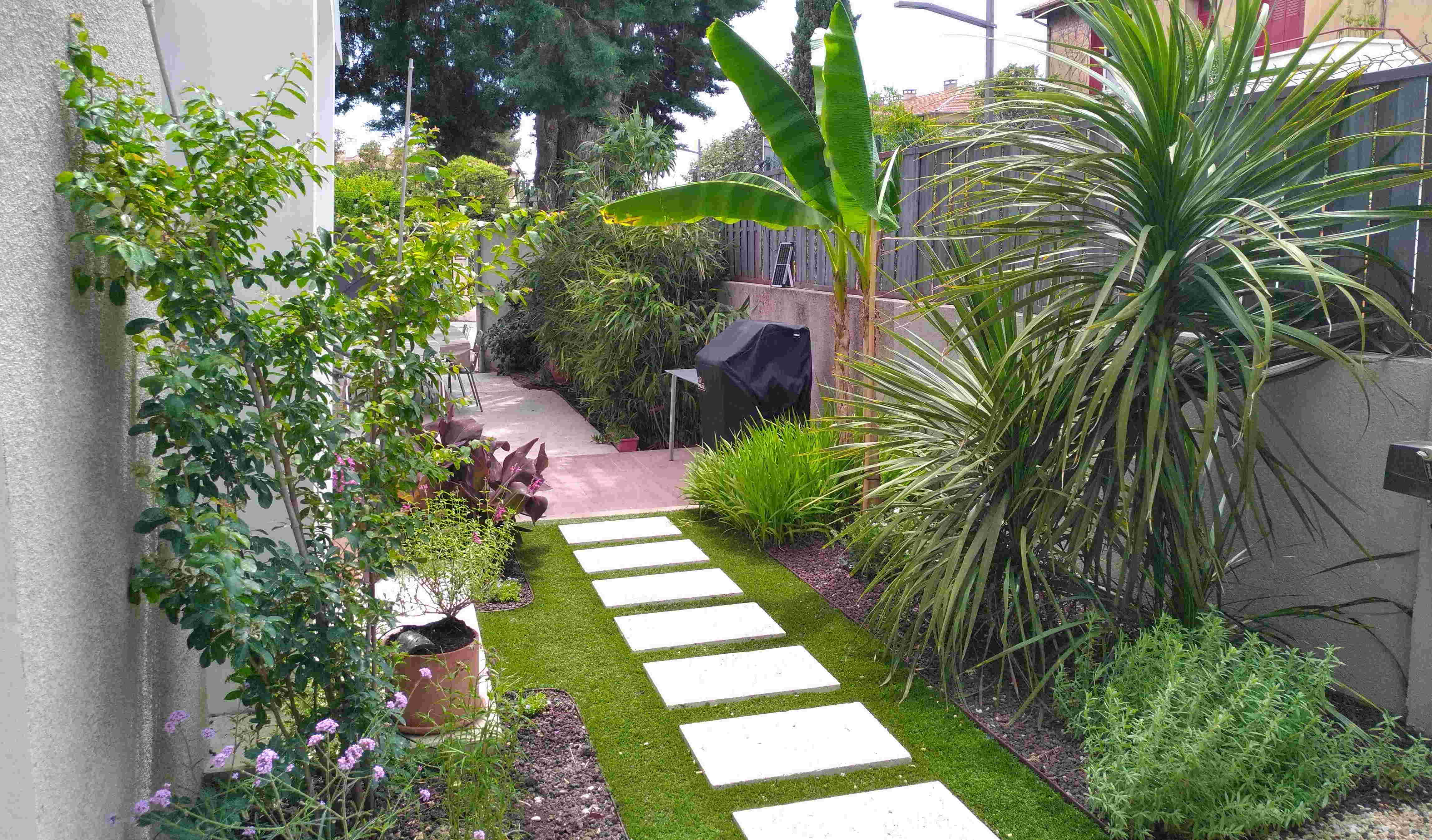 Jardin exotique